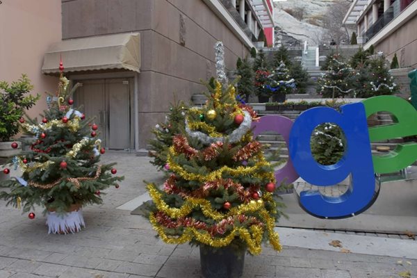 Пловдивчани са украсили дръвчетата пред надписа "Заедно" на главната улица