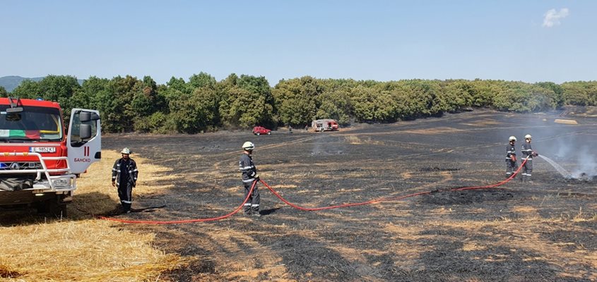 Български пожарникари помагат за гасенето на пожарите в Гърция. СНИМКА: ПБЗН