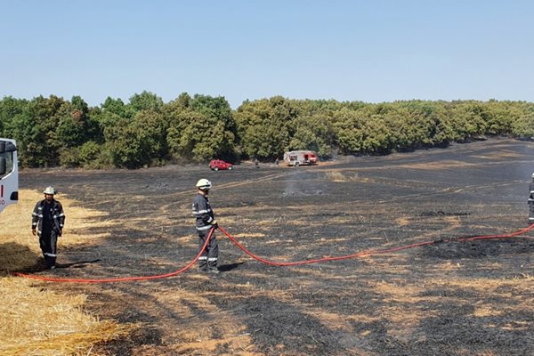 Български пожарникари помагат за гасенето на пожарите в Гърция. СНИМКА: ПБЗН