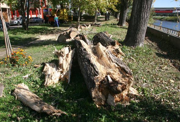 Очаква се утре ситуацията да се нормализира