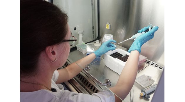 В Института по микробиология са готови с нови поколения тестове за откриване на причинителите на хранителни инфекции.