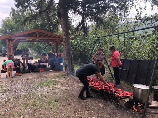 Подобни гледки вече са забранени в Плевен.
Снимка: Архив