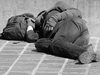 Бездомници от ЕС съдят Лондон, че са депортирани