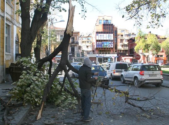 Скоростта на вятъра е около 80 км/ч  СНИМКИ: Евгени Цветков