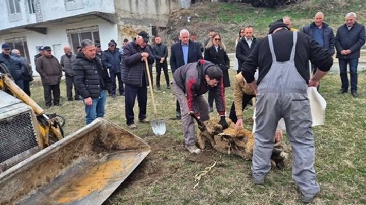 Заколиха коч на стадиона в село Слащен