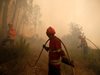 Загасиха основните огнища на големия пожар в Португалия