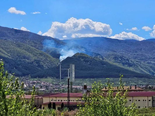 Пожар в борова гора край Симитли. СНИМКИ: Лили Клисурова