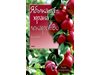 Вкусни и здравословни рецепти с ябълки