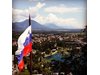 Предсрочни парламентарни избори в Словения
