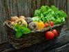 МЗХ: Няма регламент, който да забранява производството и продажбата на български зеленчуци