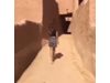 Жената, заснета с минижуп в Саудитска Арабия, беше освободена (Видео)