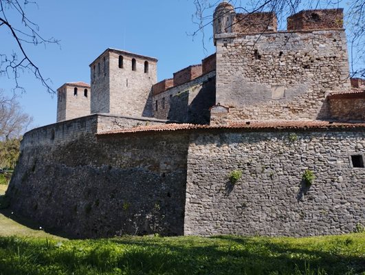 Замъкът "Баба Вида"