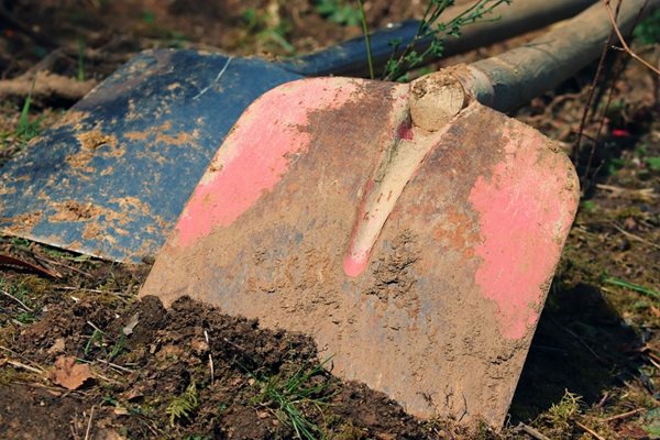 По случая се води досъдебно производство, за което се предвижда наказание „лишаване от свобода" Снимка: Pixabay