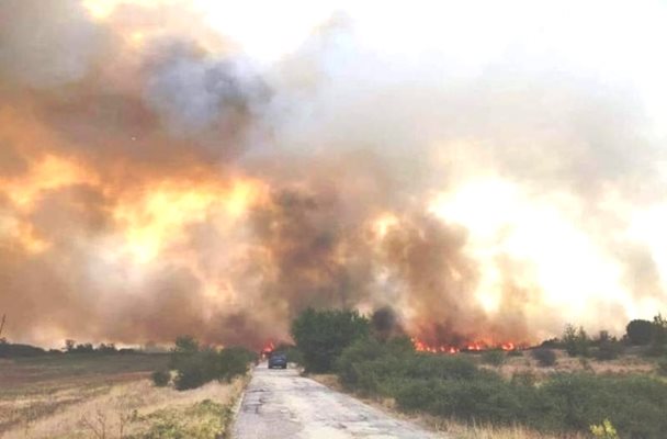 Пожарът край Враца