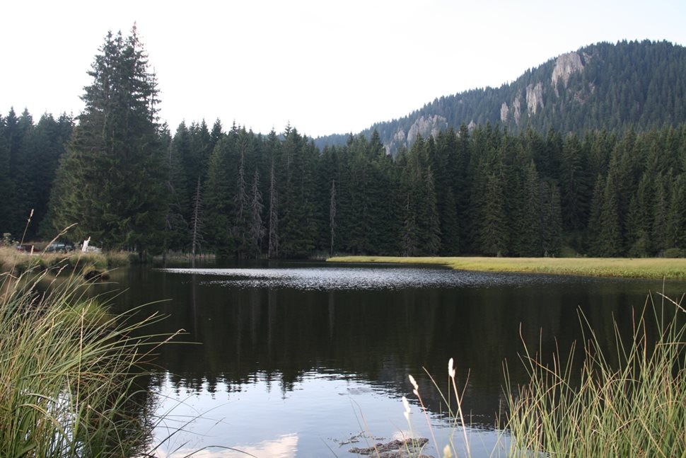 Едно от смолянските езера - "Тревистото", е покрито с дебел слой торф, върху който лятото изниква гъста растителност.
