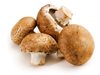 Агенцията по храните: Полските печурки в "Кауфланд" не са отровни