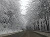 Снежната покривка в планината в Габровско надхвърля 20 сантиметра