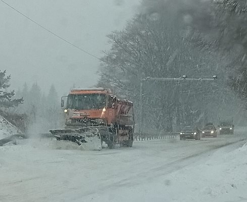 Дърво падна върху такси на пътя Пампорово-Смолян, шофьорът е ранен