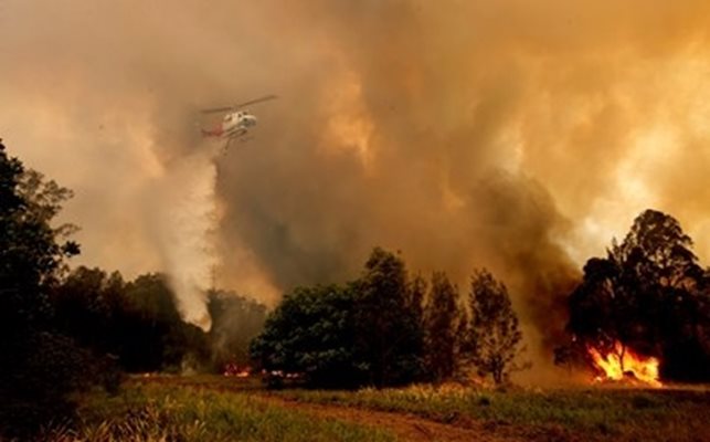 Австралиец беше обвинен, че причинил пожар заради плантацията си от канабис