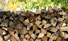 Заловиха трио крадци на дърва в Добричко