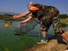 Забраниха улова на бяла риба до 15 май