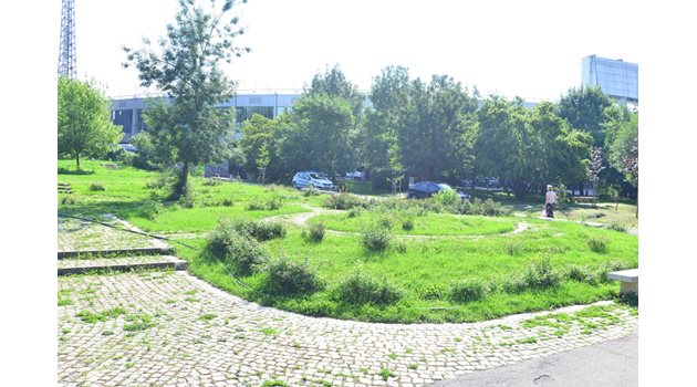 Розариумът в Борисовата градина в столицата предстои да бъде възстановен.  СНИМКА: ЙОРДАН СИМЕОНОВ