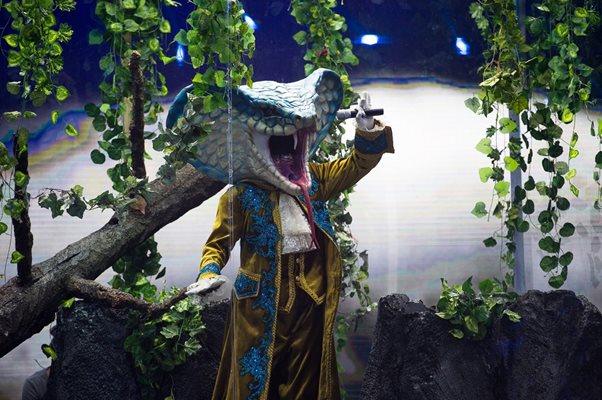 Змията бе един от загадъчните образи в шоуто.