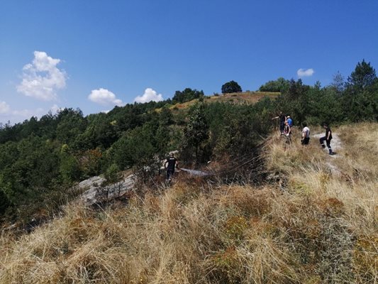 Ситуацията с пожарите в Асеновград е тревожна.


Снимка: община Асеновград