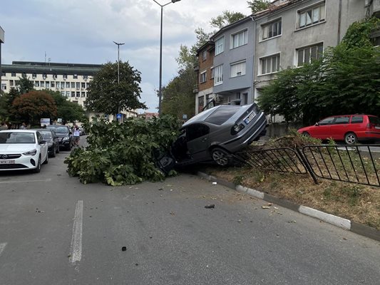 БМВ-то връхлетя оградата в разделителната ивица на ул. "Цар Иван Асен Втори" в Асеновград. Снимки: Фейсбук