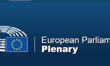 Професия евродепутат – 2 дипломи за висше, поне 2 чужди езика и 10 хил. евро заплата (графика)