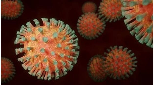 Учени от американска биофармацевтична компания заявиха, че са открили антитяло, което може напълно да блокира коронавируса СНИМКА: Pixabay