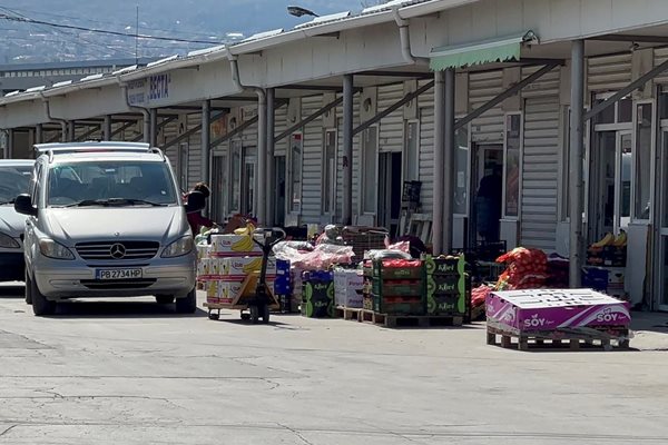 Борсата в с. Първенец