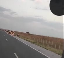 Камион и бус се удариха тежко на злополучния участък на магистрала "Тракия" (Видео)