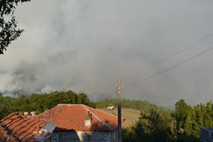 Небрежност е предизвикала пожара в гората край село Старово