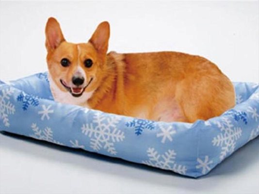 Охлаждащото легло за кучета е меко и студено благодарение на ледени пликчета със замразен гел.

СНИМКА: “МАРУКАН”