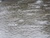 Опасността от още по-големи наводнения в Южна Австрия се повишава, дъждовете продължиха и през тази нощ