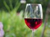 Дунавско винарско изложение тръгва за трети път в Русе