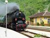 Кабинетът и дипломатическият корпус  в Черепиш за националния празник  с  ретро влак