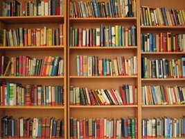 Братя на 8 и 10 години, прочели общо 500 книги през миналата година Снимка: Pixabay