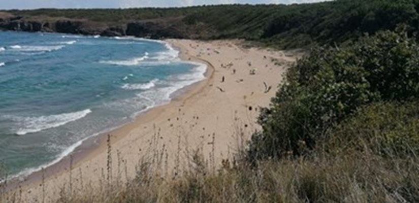 Откриват се процедури за възлагане на концесия на три морски плажа