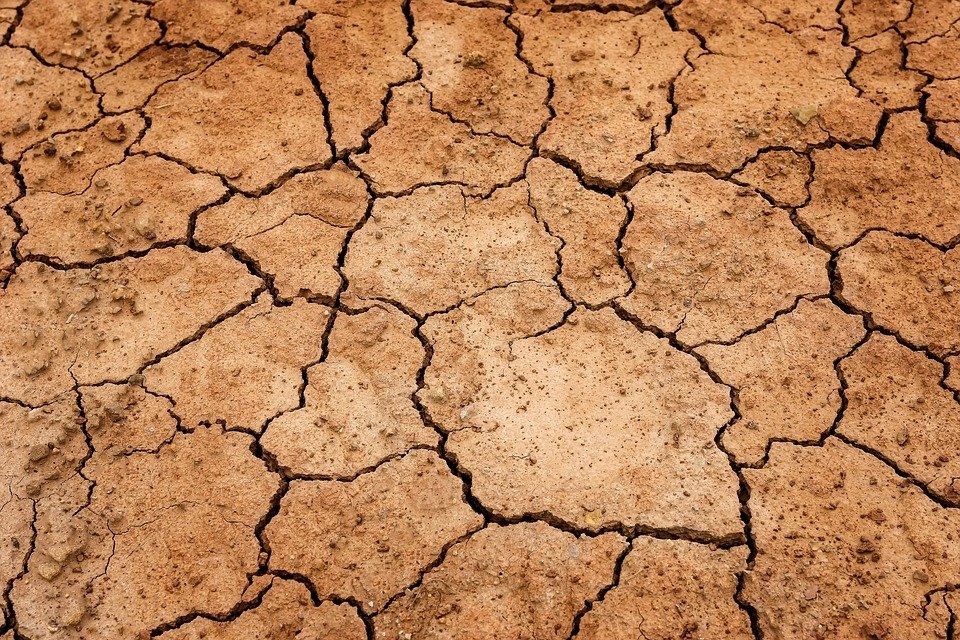 20 души загинаха от жажда в Либийската пустиня