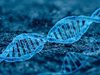 Проучване: ДНК играе роля при формирането на спомените