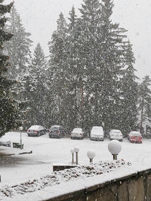  Сняг се сипе и в зимния курорт Пампорово СНИМКА: ФейсбукТеодора Каличина 