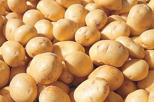 Съхранявайте правилно картофите