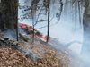 Потушени 109 пожара в страната за денонощие