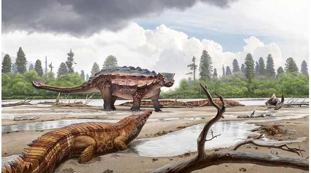 Възстановка на динозаври  ИЛЮСТРАЦИЯ: РОЙТЕРС
