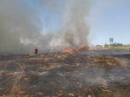 Пожарите, причинени от палене на сухи треви, зачестяват