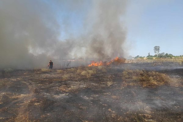 Пожарите, причинени от палене на сухи треви, зачестяват