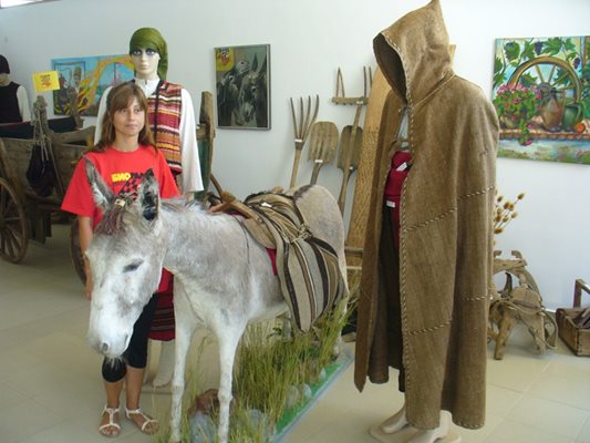 Музеят на магарето в Гурково вече се сдоби и с истинско препарирано магаре, каквото видимо му липсваше.