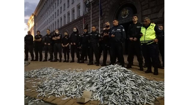 Протестиращи изсипаха килограми дребна риба.